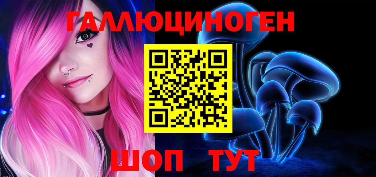 Галлюциногенные грибы Cubensis  Псилоцибиновые грибы MAGIC MUSHROOMS  Камышин  Вход с VPN 